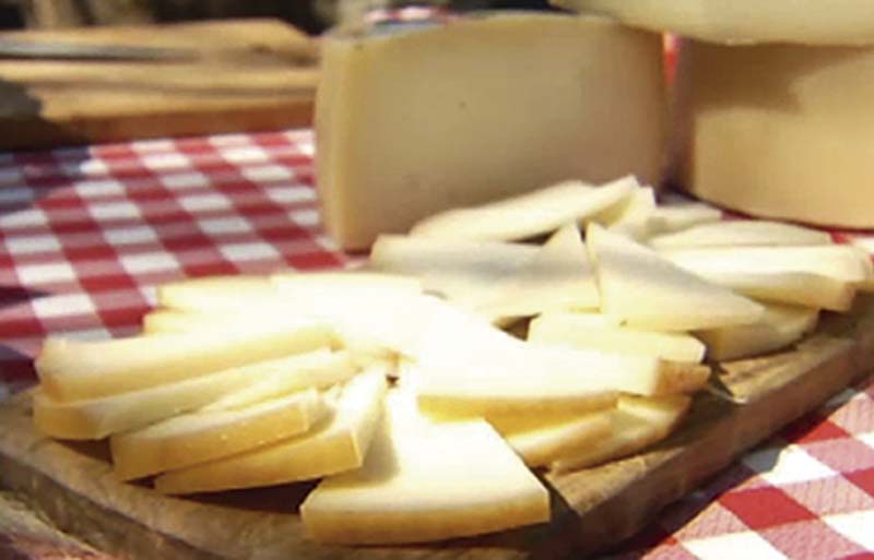 GASTRONOMIKA artzaigazta OJ145