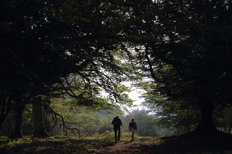 GASTRONOMIKA senderistas 1 OJ145