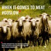 MEAT THE CHANGE BY SLOW FOOD
