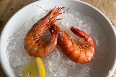 MARIÑELA: “EL VASKITO” SE ASOMA AL PUERTO Imagen 1