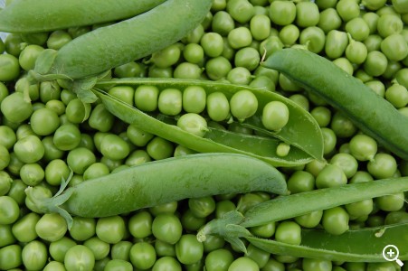 Marzo: EL GUISANTE Imagen 1