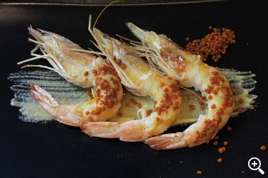 XABIER GUTIÉRREZ: UN HAMAIKETAKO EN EL FUTURO Imagen 1