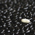 Diciembre: LA ALUBIA