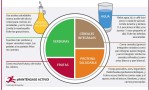EL PATRÓN DE ALIMENTACIÓN