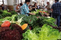 EUSKADI GASTRONOMIKA: GOIERRI